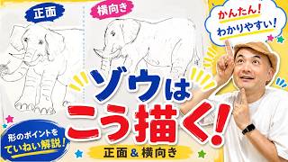 【ゾウの描き方】特徴を押さえて描こう！正面＆横向きの全身をレクチャー