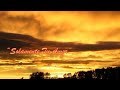 Chayanne - Solamente Tu Amor (Lyric Video)