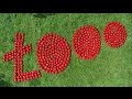 LOWICZ Łooo