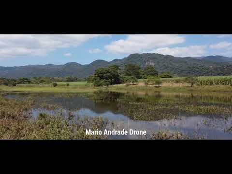 VIDEO DE LA LAGUNA DE EL PORVENIR EN CORDOBA, VERACRUZ. # 3 noviembre 29 del 2020