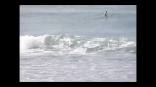 preview picture of video 'December 04, 2012 - Playa Hermosa'