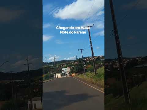 Assaí norte do Paraná