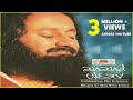 Narayan Narayan Jai Jai Govind Hare Rishi Nityapragya Art Of Living Krishna Bhajans Hindi