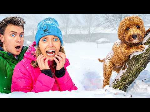 MY DOG got LOST in MASSIVE STORM!