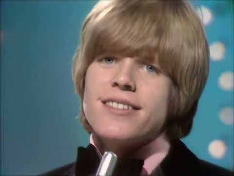 NEW * There's A Kind Of Hush - Herman's Hermits 4K {Stereo} 1967