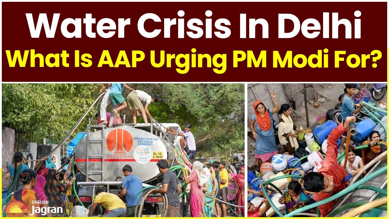 Watch News Videos Stay Updated with Latest News, Entertainment News