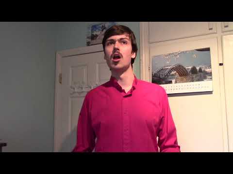 Журавли (Cranes)