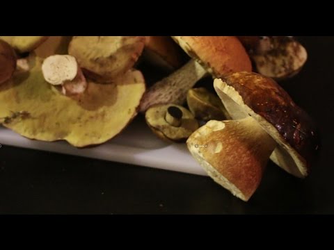 paraziták Thaiföld után