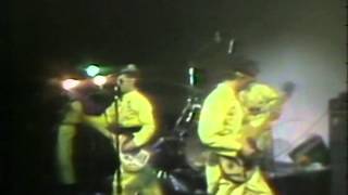 Devo - Wiggly World (Live 1978)