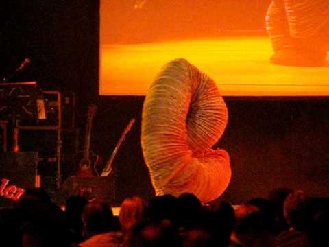 Poettinger Days 2006 [Snap Shot from show - part #1]