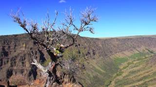 Steens Mountain Wilderness