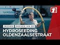 Wadi's Oldenzaalsestraat Enschede blauwgroen door graszaad