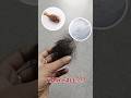 Hairfall Solution With Araviorganic