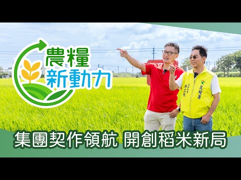 農糧新動力-集團契作領航 開創稻米新局