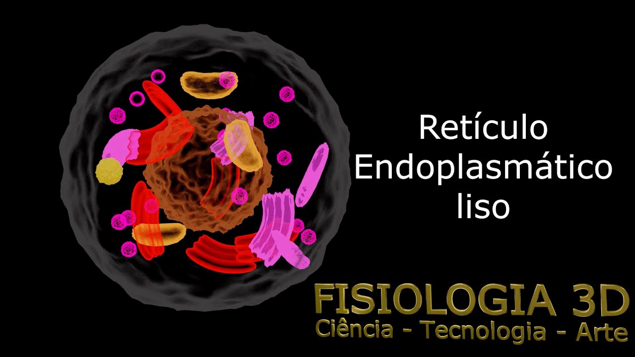 Aula 10 - Retículo Endoplasmático Liso (síntese de lipídeos, detoxificação, armazenamento de cálcio)