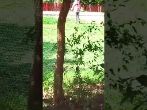 LAGUNA BLANCA FORMOSA UNA DE LAS 7 MARAVILLAS DEL MUNDO