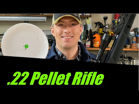 GAMO Swarm Fusion 10x Gen2 Review and test #gamo #hunting #accuracy