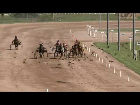 2021.08.07. 04. futam - JEGY DÍJ