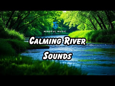 20 Minutes of Relaxing River Sounds | Deep Sleep, Study & Stress Relief