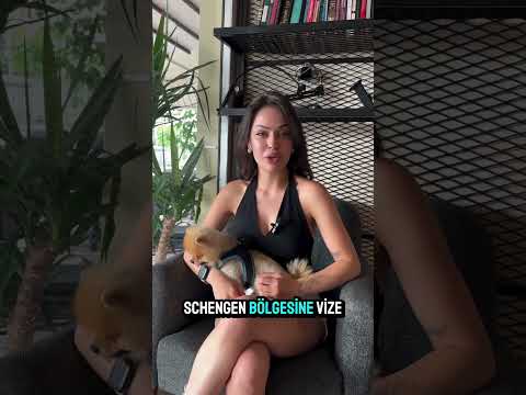 Ev & Yaşam UGC - Ütü Deneyimi