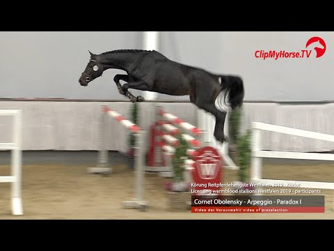 Hengst v. Cornet Obolensky - Arpeggio - Paradox I