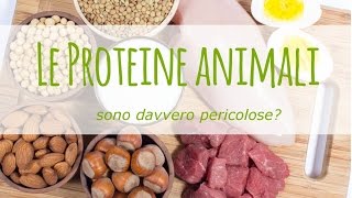 Proteine animali gli studi che provano la loro pericolosità