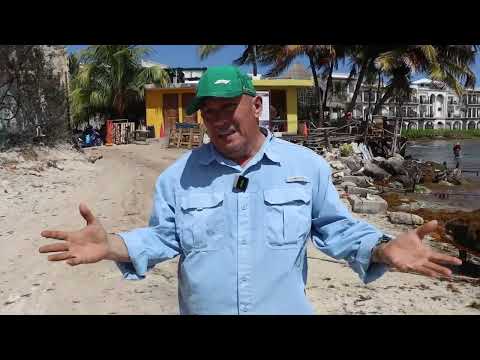 Playa del Carmen sin playas