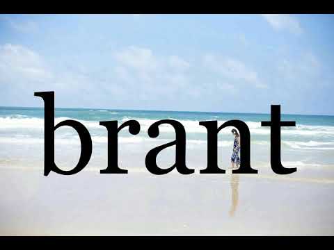 How To Pronounce brant🌈🌈🌈🌈🌈🌈Pronunciation Of brant