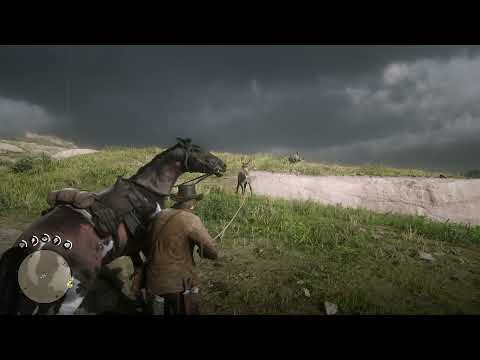Bucks Antlers Get Stuck To Another Dead Buck - Red Dead Redemption 2