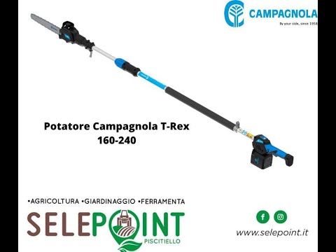 Potatore elettrico a batteria Campagnola T REX con asta telescopica 160-240 per lavori di potatura