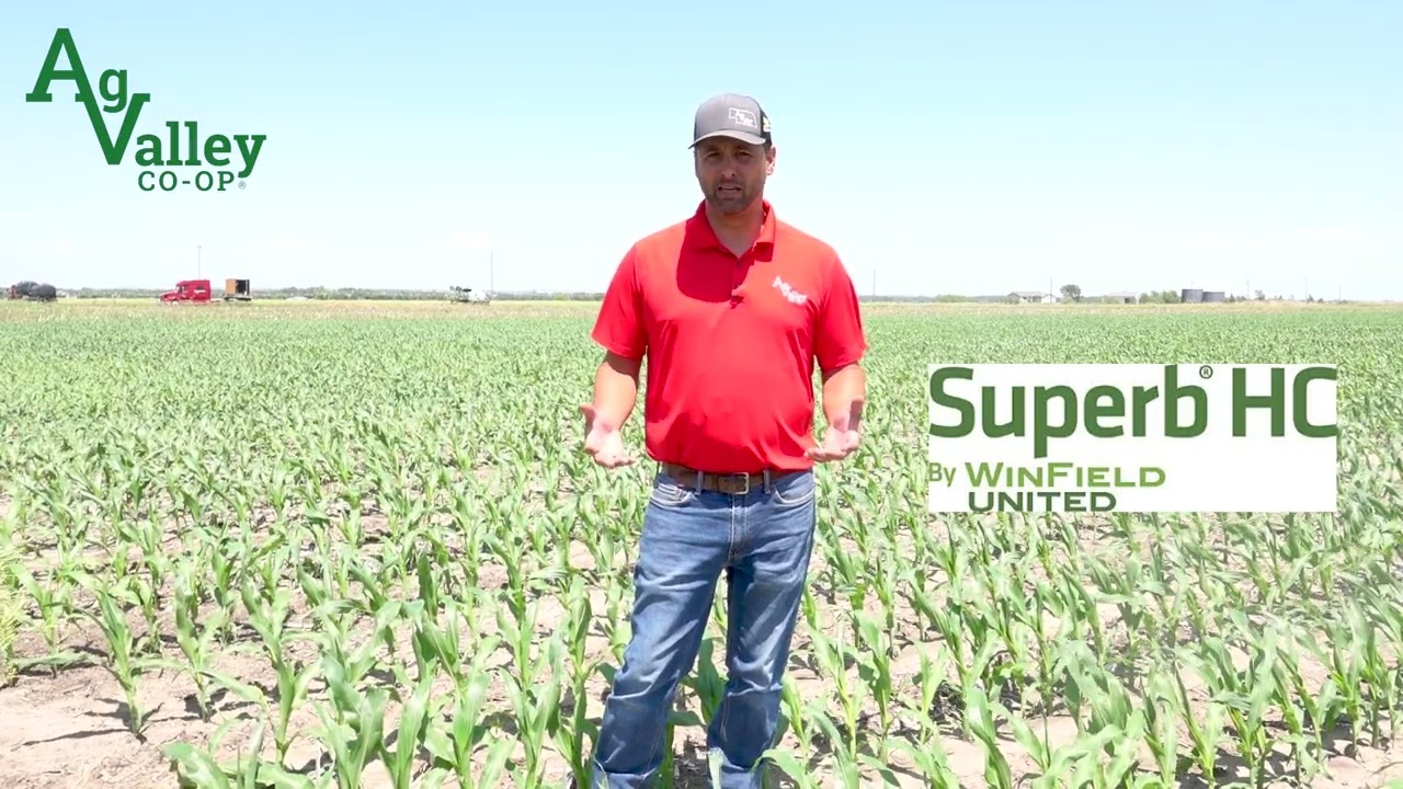 Superb HC Adjuvant AVX Update