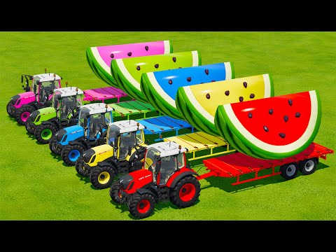 LOAD & TRANSPORT GIANT WATERMELONS WITH FENDT TRACTORS -    Farming Simulator 22