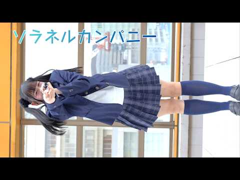 動画のタイトルなど