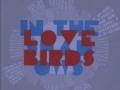 Lovebirds - In The Shadows