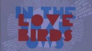 Lovebirds - In The Shadows