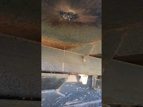 disgusting rank smelling #rolloff #construction #sick1 #funny #truckin #trucking #filmeverything