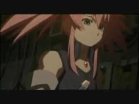 Tales of Stupidity 5 Trailer