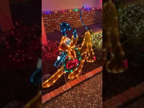 Mattos Orchard Light Christmas San Jose 2020-12-26 JJJ Family