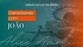 #dia33 - LIVRO DE JOÃO (7 A 9) - LEIA A BÍBLIA COMIGO EM 1 ANO