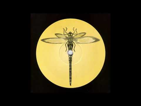 Genetic - Transmission EP [1994] Dragonfly Records [Goa Trance, Acid Trance, Trance]