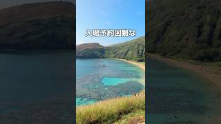 🐠ハナウマ湾の入場を確約できるロバーツハワイの新ツアー🌺　#hawaii #ハワイ #ハナウマ湾