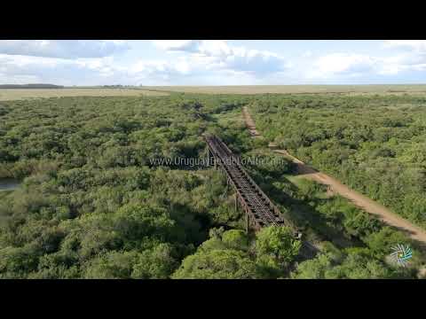 Video aéreo del puente ferroviario sobre el arroyo Cuaró Grande, departamento de Artigas M3 12789 95
