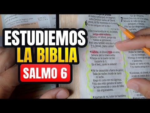 Cómo ESTUDIAR la BIBLIA correctamente, estudio bíblico salmo 6