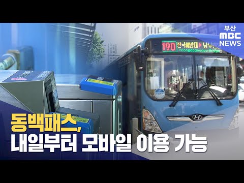 동백패스 모바일 시행 썸네일