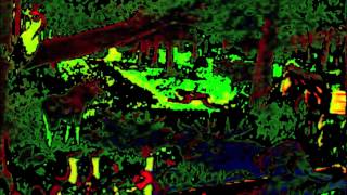 James&Karin- Älgarna säger