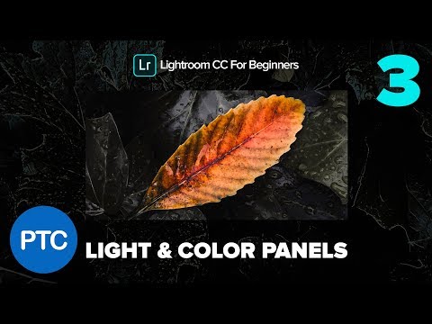 Importing Files Into Lightroom CC Lightroom CC for Beginners FREE Course 01