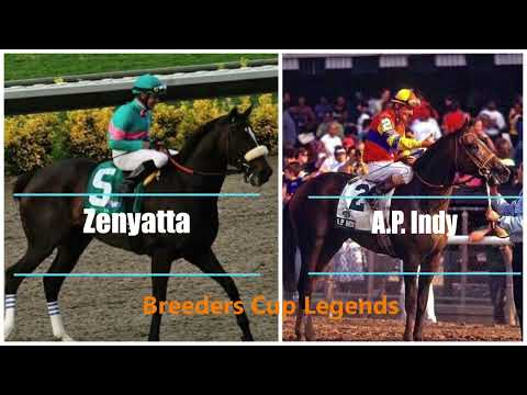 Zenyatta and A.P Indy - Breeders' Cups