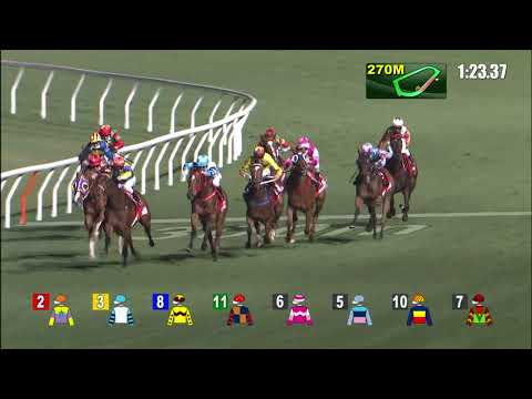 16/2/2022 (433) Soulmate - Z Purton