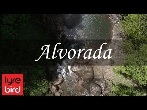 Música Erudita Brasileira - Música Relaxante (Alvorada)