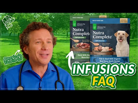 Everything You Need to Know About This Nutrient-Dense Dog Food | Nutra Complete Infusions FAQ